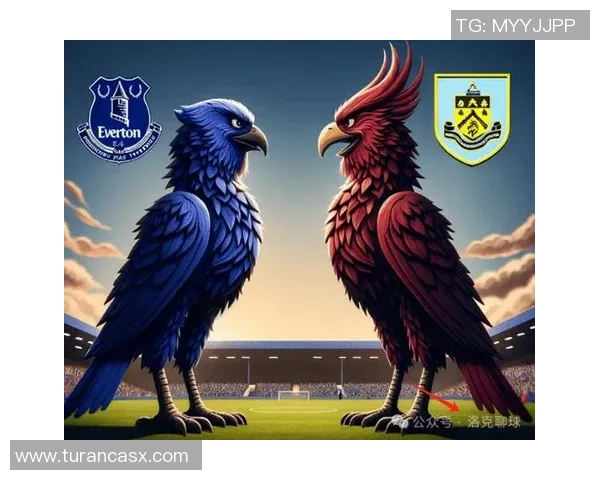 莱切斯特对阵埃弗顿比赛数据分析与统计服务全面解析